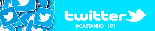 SIGA NOSSO TWITTER